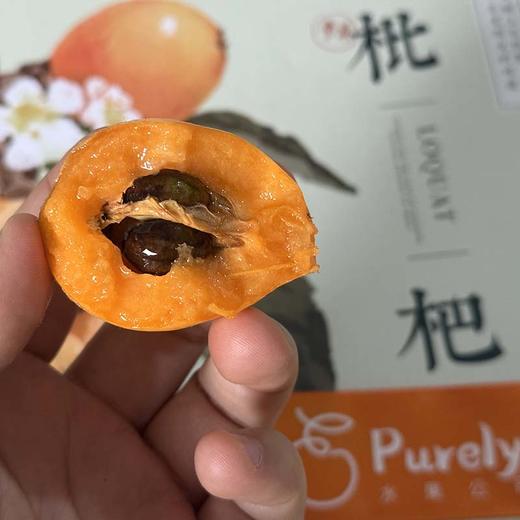 云南高原「完熟枇杷」大果 整件 约1.5kg 商品图0