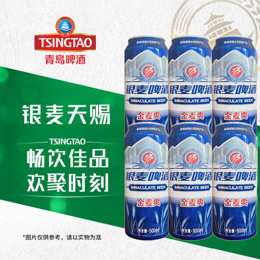 【6罐】青岛啤酒 银麦啤酒金麦爽8度麦汁浓度 500ml*6罐 青岛不倒我不倒 商品图0