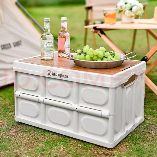 西屋Westinghouse收纳箱 商品图1