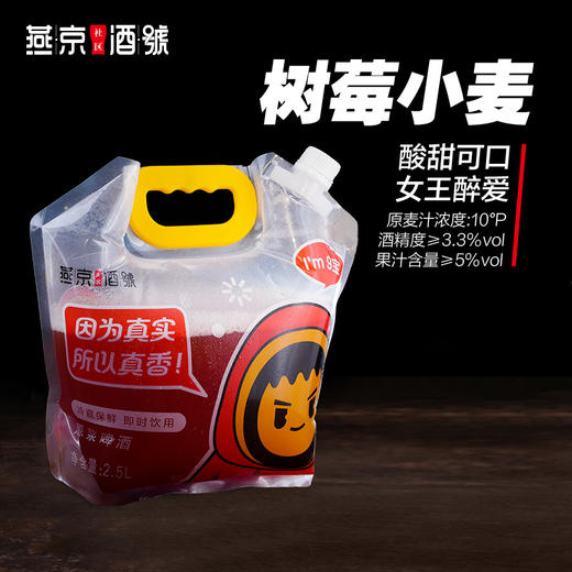 燕京原浆鲜啤-2.5L/袋 全家福（6种口味，共15L） 商品图3