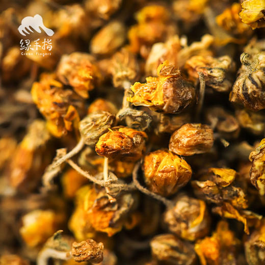 野生菊花 | 合作生产 * Wild chrysanthemum | Partner Production 商品图3