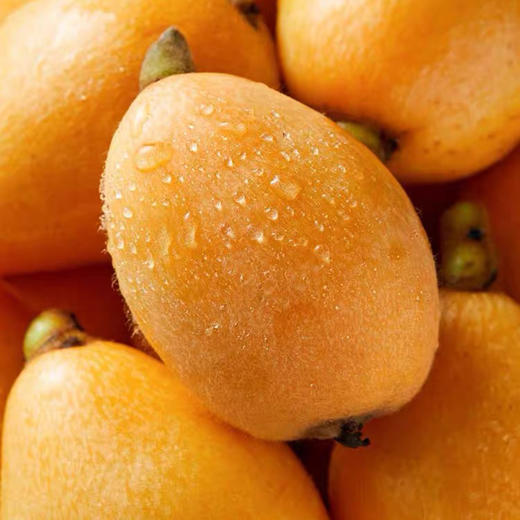 攀枝花有机枇杷400g/盒*2(单果25-40g) 商品图4