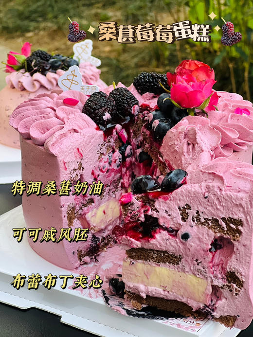 桑葚莓莓 （装饰桑葚换蓝莓） 商品图0