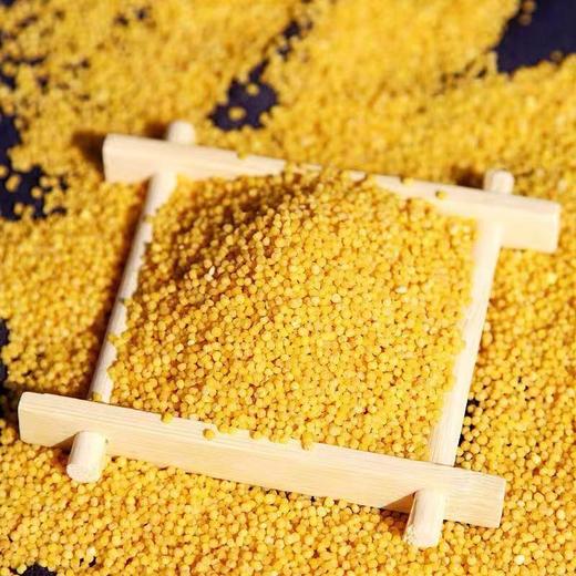 【有机】老爷岭有机黄小米400g-800g/罐 商品图3