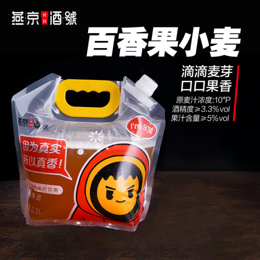 燕京原浆鲜啤-2.5L/袋 全家福（6种口味，共15L） 商品图1