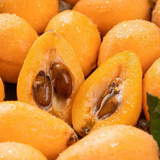 攀枝花有机枇杷400g/盒*2(单果25-40g) 商品图2