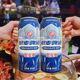 【2罐分享装】青岛啤酒 银麦啤酒金麦爽8度麦汁浓度 500ml罐 青岛不倒我不倒
