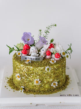 定制款裸蛋糕 - 春日物语