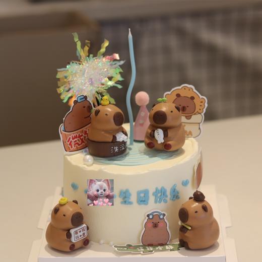 卡皮巴拉kc616 商品图0