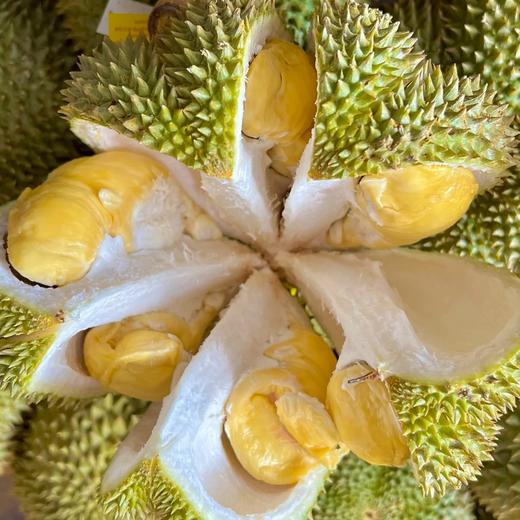 泰国甲仑榴莲纯A果 五~六房肉 商品图5