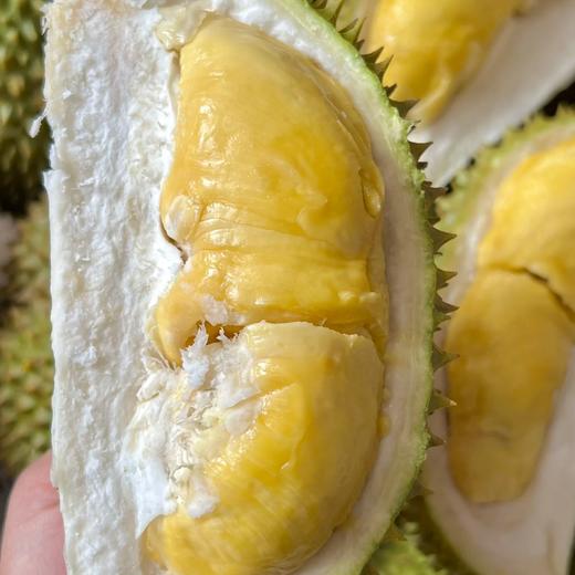 泰国甲仑榴莲纯A果 五~六房肉 商品图14