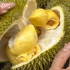 泰国甲仑榴莲纯A果 五~六房肉 商品缩略图11