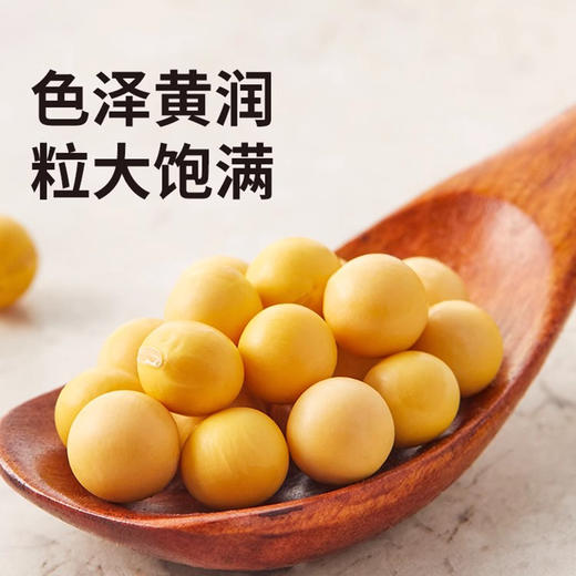 【有机】老爷岭有机黄豆330g 商品图1