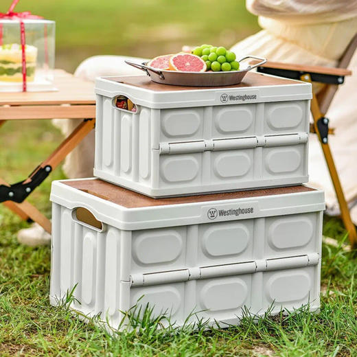 西屋Westinghouse收纳箱 商品图3