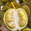 泰国甲仑榴莲纯A果 五~六房肉 商品缩略图10