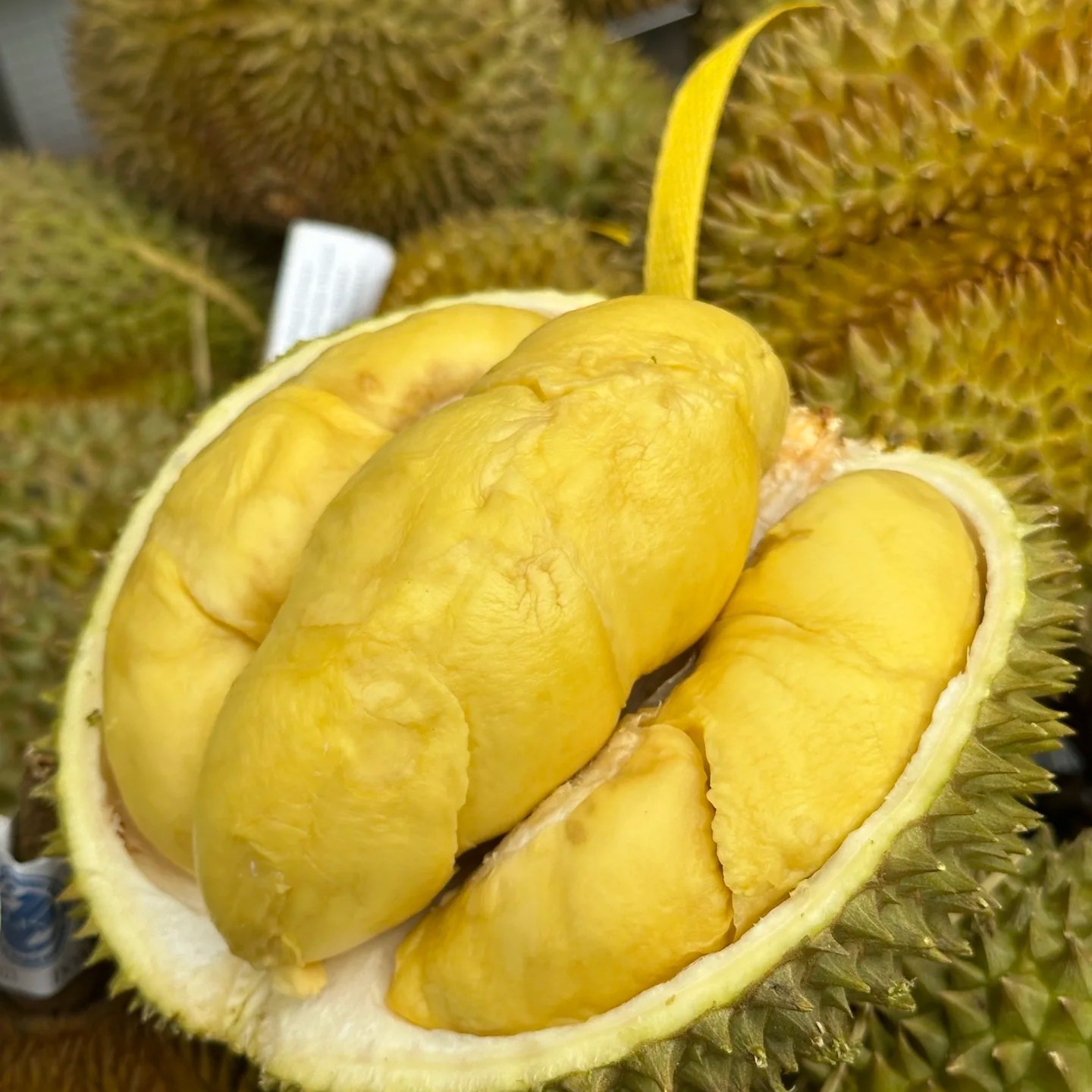 泰国金枕榴莲纯A果