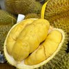 泰国甲仑榴莲纯A果 五~六房肉 商品缩略图12