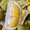 泰国甲仑榴莲纯A果 五~六房肉 商品缩略图4