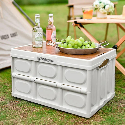 西屋Westinghouse收纳箱 商品图2