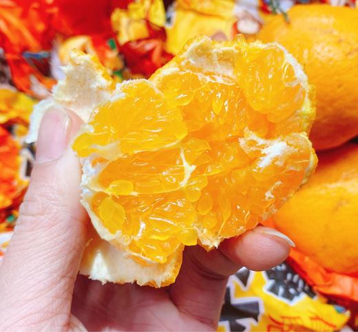 爆汁粑粑柑  | 水果 商品图0