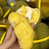 泰国甲仑榴莲纯A果 五~六房肉 商品缩略图2