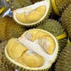 泰国甲仑榴莲纯A果 五~六房肉 商品缩略图1