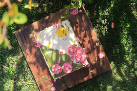 若·晓月 / 白茶奶油蛋糕（可备注少糖）