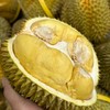 泰国甲仑榴莲纯A果 五~六房肉 商品缩略图9