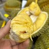 泰国甲仑榴莲纯A果 五~六房肉 商品缩略图8