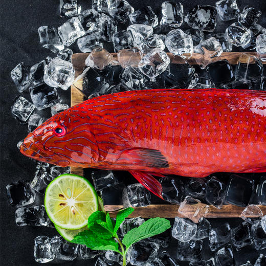 红斑盛宴礼盒（净重10斤） 商品图2