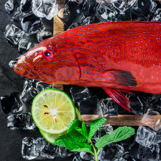 南海至尊礼盒(净重8斤） 商品图3