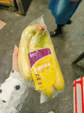 佳沃超甜蕉一串