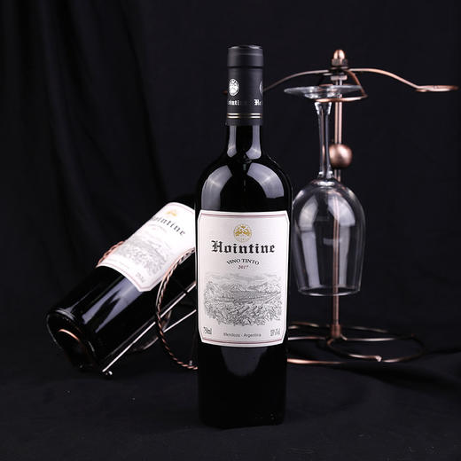 阿根廷红盈廷西拉马尔贝克13度红葡萄酒（砍价活动专属） 商品图1