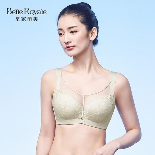 皇家丽美调整型维C抑菌内杯记忆钛圈中厚杯兔耳薄杯提拉上托防下垂文胸WJ2502-2/WJ2502-1 商品图3