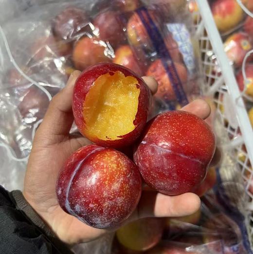 进口太阳李 李子 甜蜜爆汁 商品图9