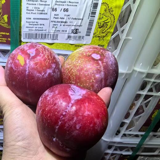 进口太阳李 李子 甜蜜爆汁 商品图8