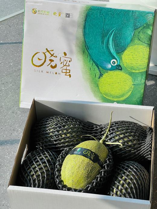 椰海蜜瓜 哈密瓜 绿肉也可以脆甜的哈蜜瓜 商品图5