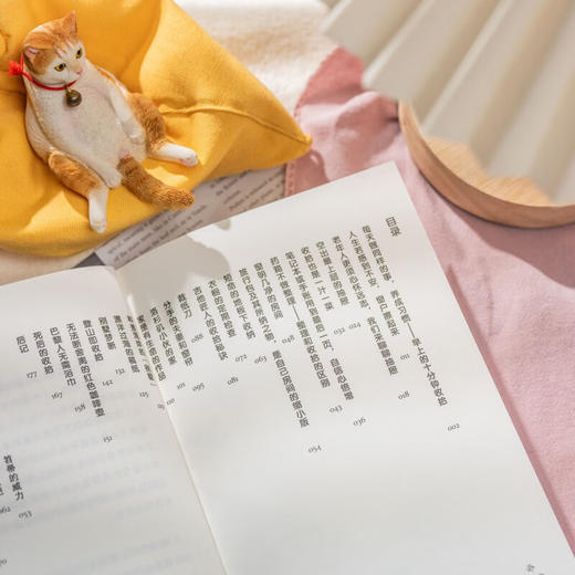 老头我,负责收拾一切 收拾东西就是整理心情 兼具实用收拾技巧与人生哲理  外国文学生活哲学随笔集 商品图7