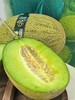 椰海蜜瓜 哈密瓜 绿肉也可以脆甜的哈蜜瓜 商品缩略图2