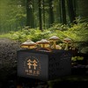 林端上品 鲜制云南野生菌 云南野生菌感恩A套礼盒 商品缩略图1