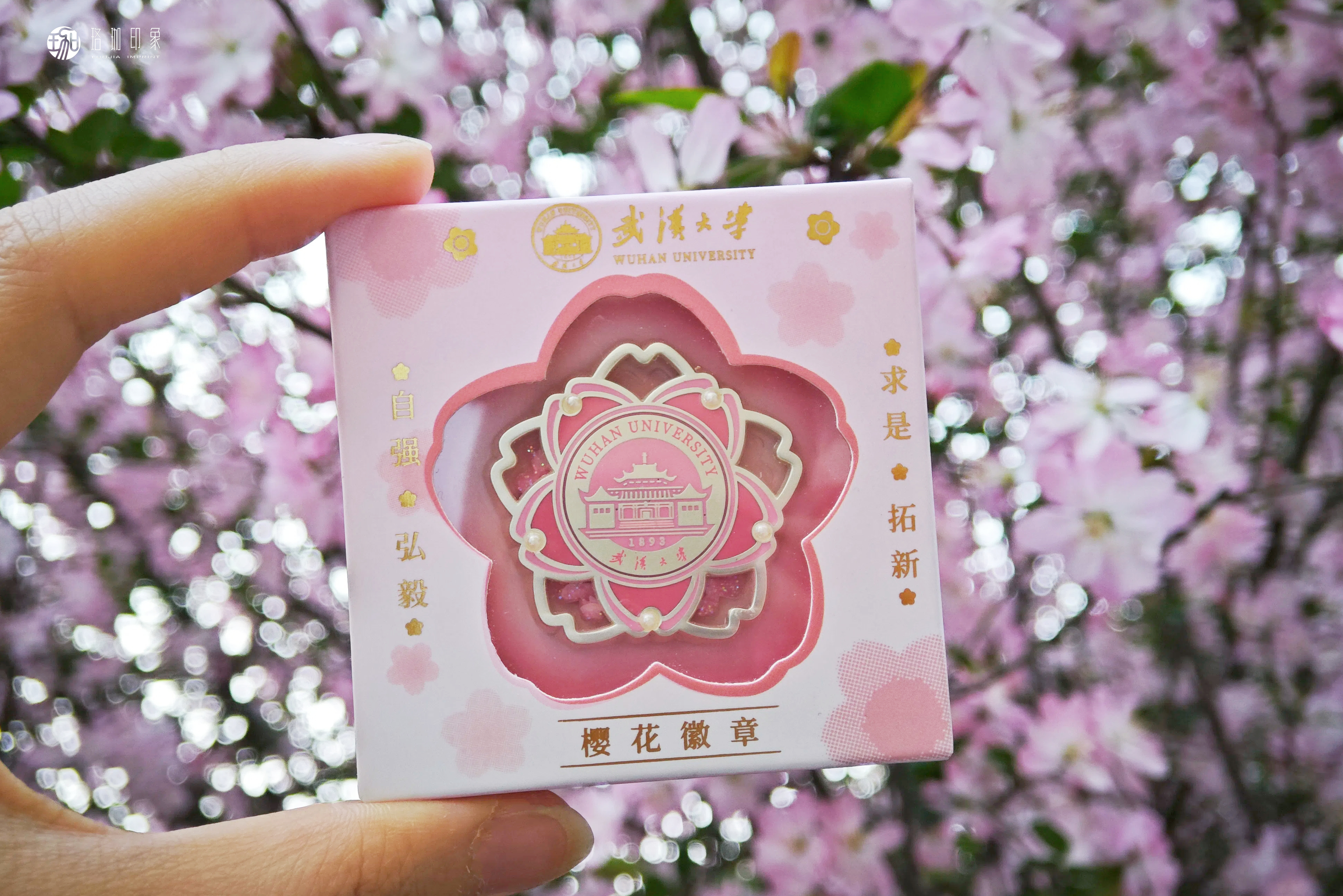 武大珞珈流麻徽章