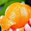 新鲜水果 果大肉厚枇杷 500g 商品缩略图3
