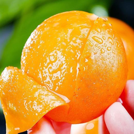 新鲜水果 果大肉厚枇杷 500g 商品图3