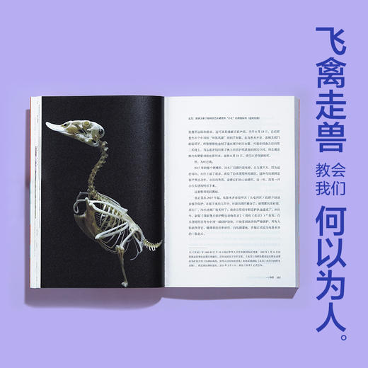 《我不能在鸟兽身旁只是悲伤》 | 三年实地探访中国生态热点，16个荒野故事串联人、动物与自然的生命脉络。 商品图7