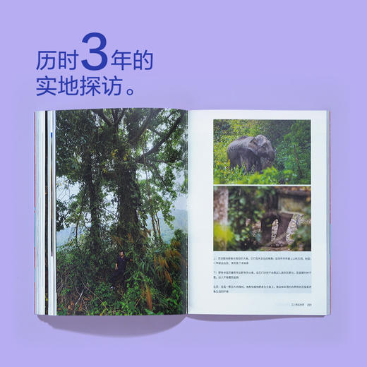 《我不能在鸟兽身旁只是悲伤》 | 三年实地探访中国生态热点，16个荒野故事串联人、动物与自然的生命脉络。 商品图5