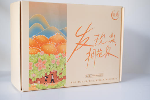 【黔南好物】氧沁刺梨风味发酵饮品 30ml*30袋 【厂家直发】 商品图2