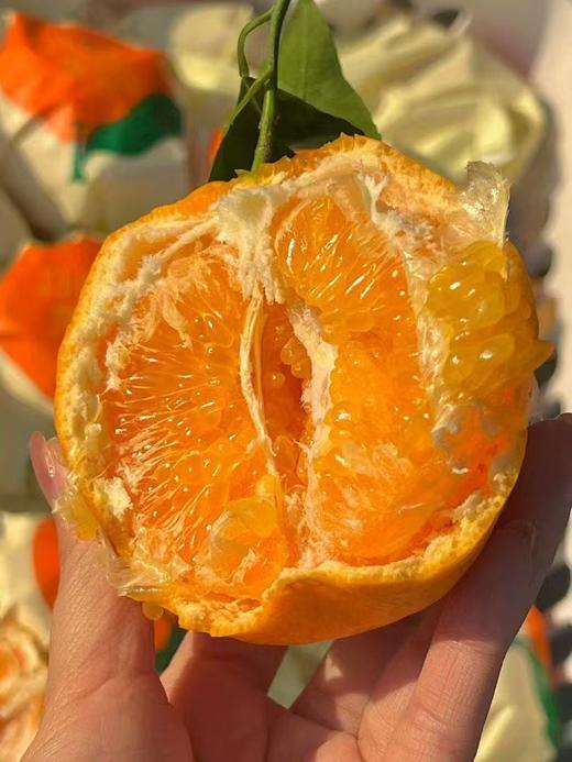 金马鹿耙耙柑大件礼盒装   柑橘 纯甜 味浓 皮薄 商品图1