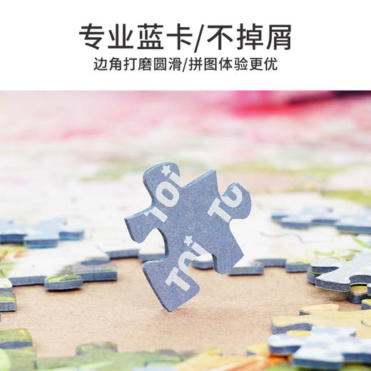 TOi图益-潮玩拼图系列-国风小院-春和景明-1000片 商品图4