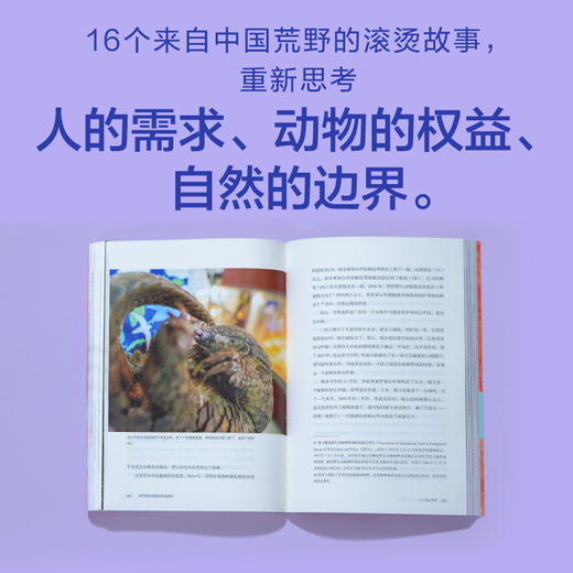 《我不能在鸟兽身旁只是悲伤》 | 三年实地探访中国生态热点，16个荒野故事串联人、动物与自然的生命脉络。 商品图4