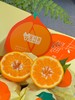金马鹿耙耙柑大件礼盒装   柑橘 纯甜 味浓 皮薄 商品缩略图2